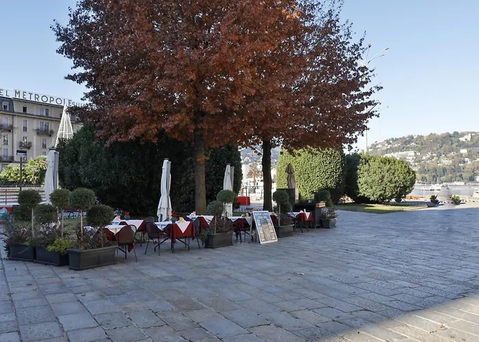 Dante Suite
